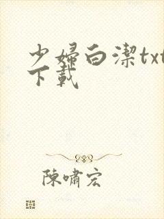 少妇白洁txt下载