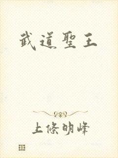 武道圣王