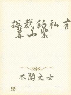 总裁的私有宝贝 暮山紫