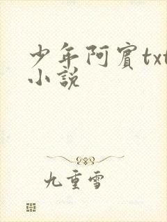 少年阿宾txt小说