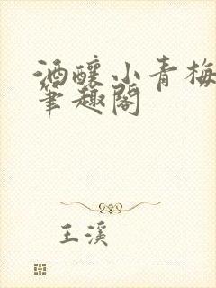 酒酿小青梅po笔趣阁