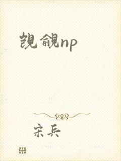 觊觎np