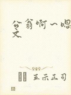 公翁啊～嗯啊h文