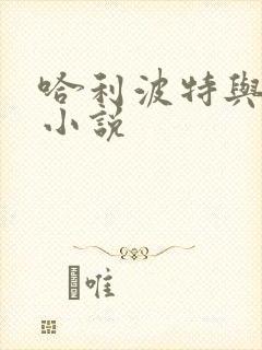 哈利波特与密室小说