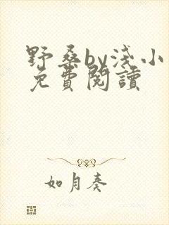 野桑by浅小说免费阅读