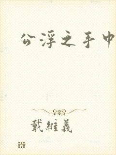 公浮之手中字5