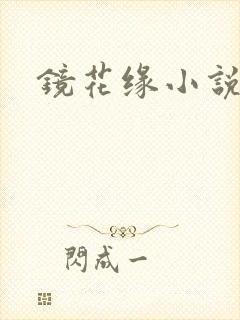 镜花缘小说