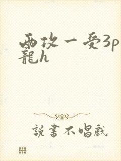 两攻一受3p双龙h