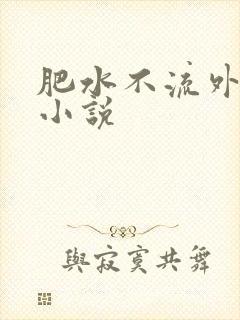 肥水不流外人田小说