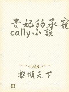 贵妃的承宠日常cally小说