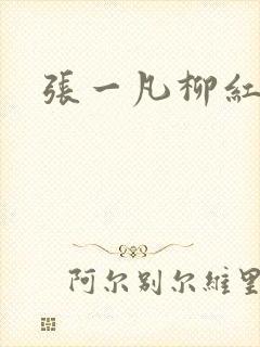 张一凡柳红
