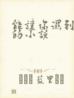 能让你湿到不行的小说