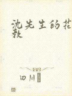 沈先生的花式调教