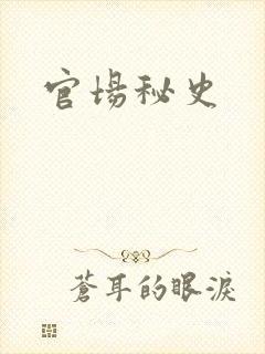 官场秘史