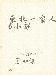 东北一家人1一6小说