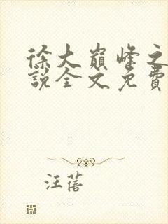 徐大巅峰之路小说全文免费阅读