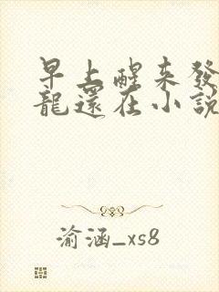 早上醒来发现巨龙还在小说