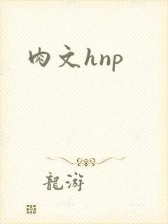 肉文hnp