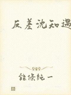 反差沈知遇晏应