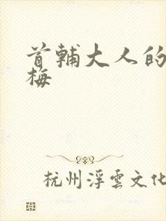 首辅大人的小青梅