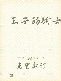 王子的骑士小说