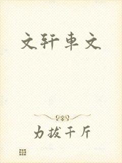 文轩车文
