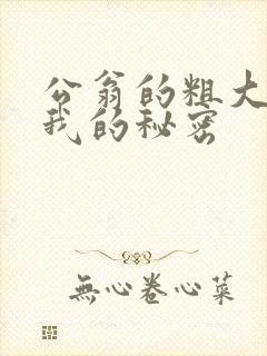 公翁的粗大放进我的秘密