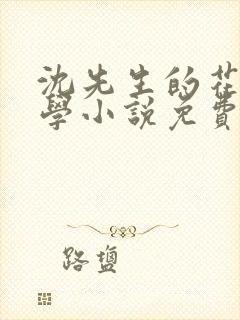 沈先生的花式教学小说免费