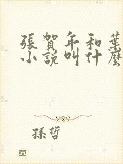 张贺年和叶繁姿小说叫什么名字