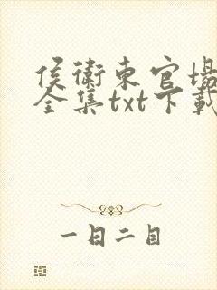 侯卫东官场笔记全集txt下载