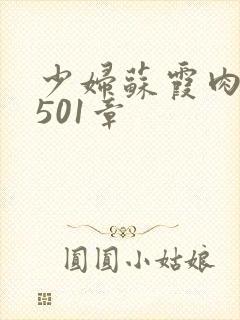 少妇苏霞肉欲第501章