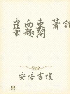 崔向东 萧错 笔趣阁