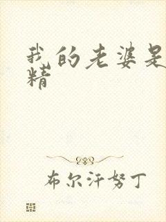 我的老婆是狐狸精