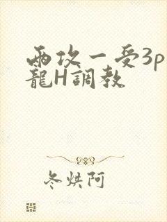 两攻一受3p双龙H调教