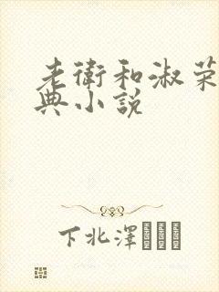 老卫和淑荣的经典小说