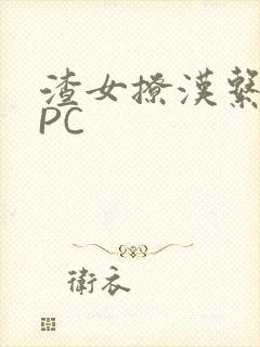 渣女撩汉系统NPC