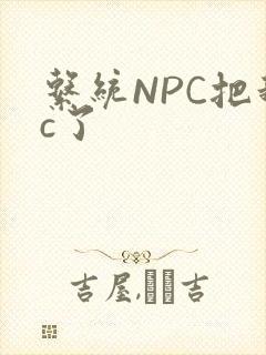 系统NPC把我c了