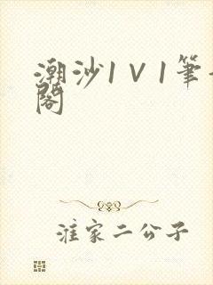 潮沙1∨1笔趣阁
