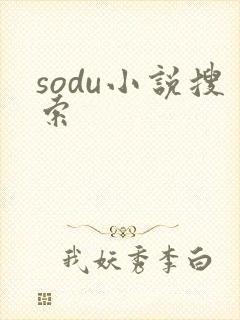 sodu小说搜索