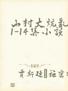 山村大炕乱肉续1-14集小说