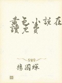 黄色小说在线阅读免费