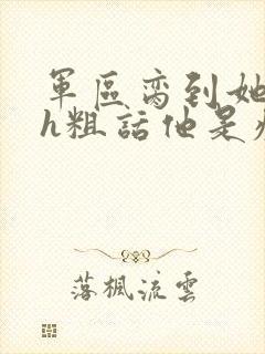 军区脔到她哭hh粗话他是疯批