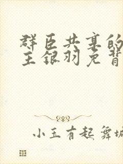 群臣共享的小公主银羽免背刺