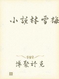 小说林雪梅