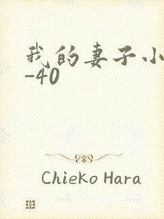 我的妻子小谨1-40