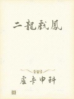 二龙戏凤