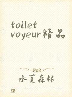 toilet voyeur精品