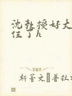 沈教授好大含不住了h