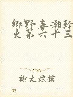 乡野春潮干柴烈火第六十三章