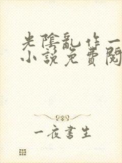 光阴乱作一团的小说免费阅读